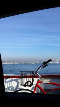 1538770_10151819237582100_242192997_n